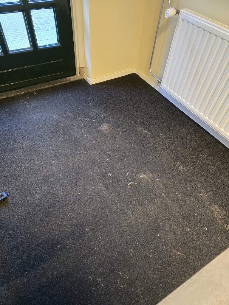 Schoonmaakproject Amatix Services — voor